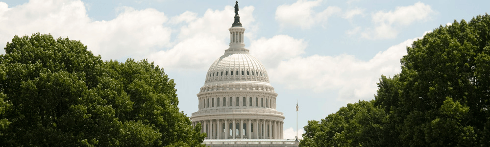Washington Hotline