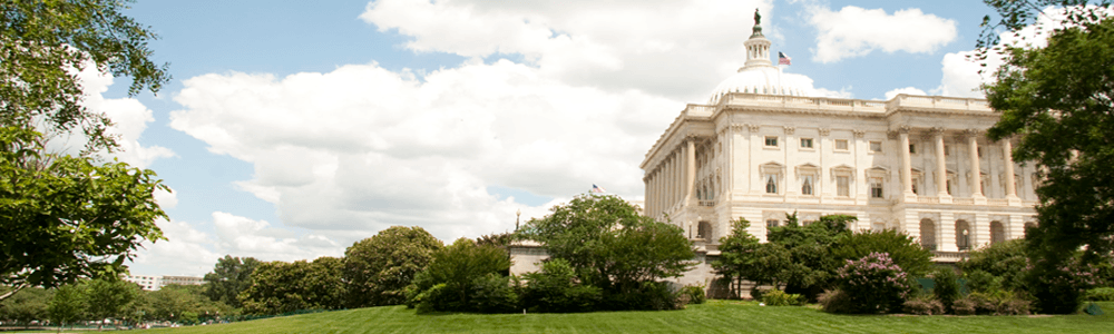 Washington Hotline
